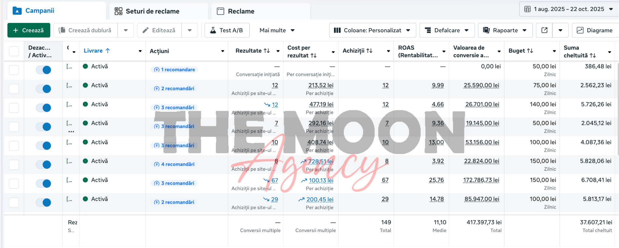 Rezultate Studiu de caz Meta Ads dupa optimizare - ROAS 11.10